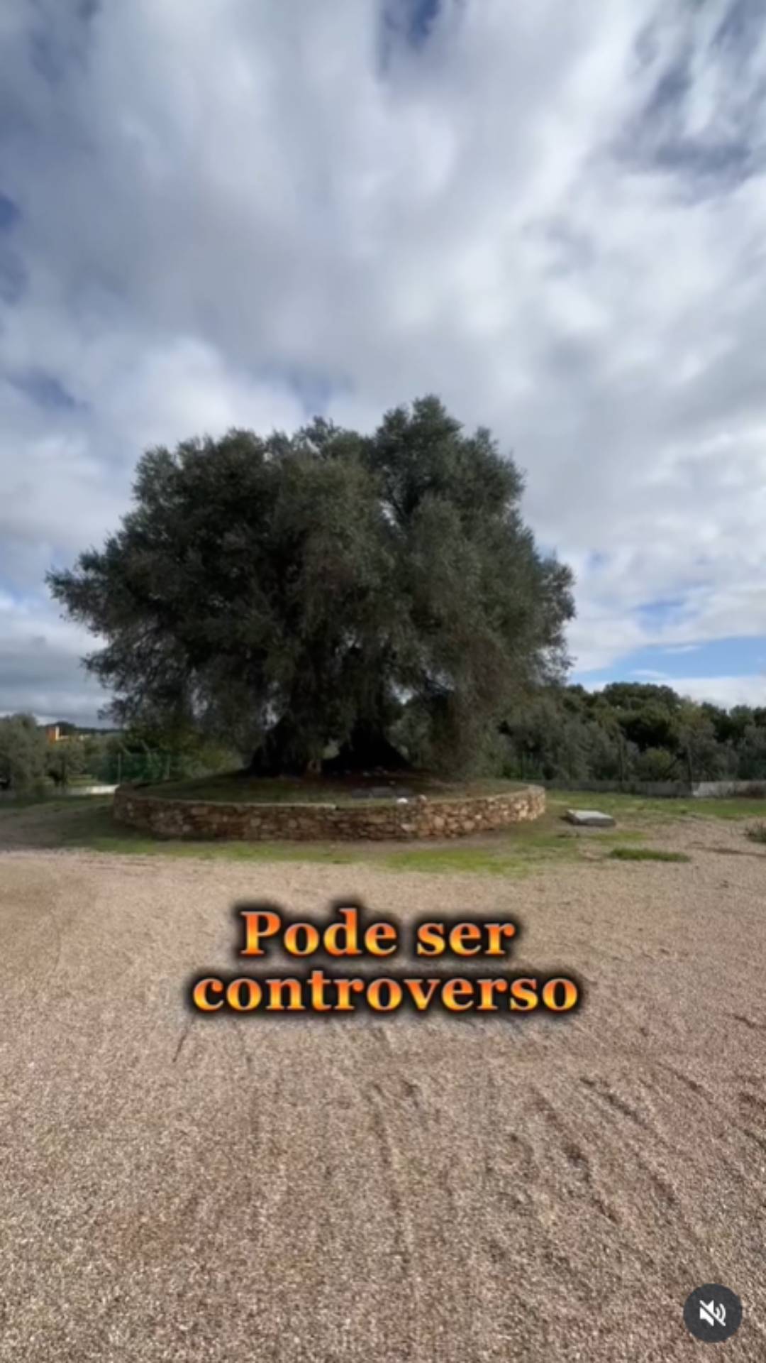 Abrantes Online - 1.800.000 visualizações